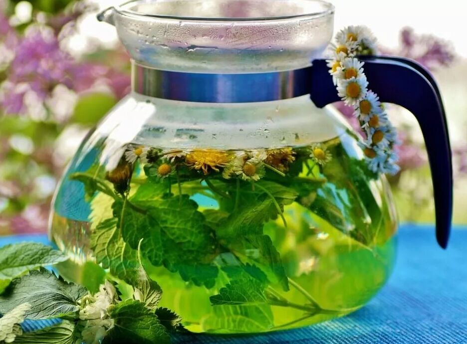 Infusion of a collection of plants from varicose veins